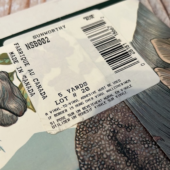 Decorative Boarder: Nature Series, Dinosaur’s - Picture 9 of 9